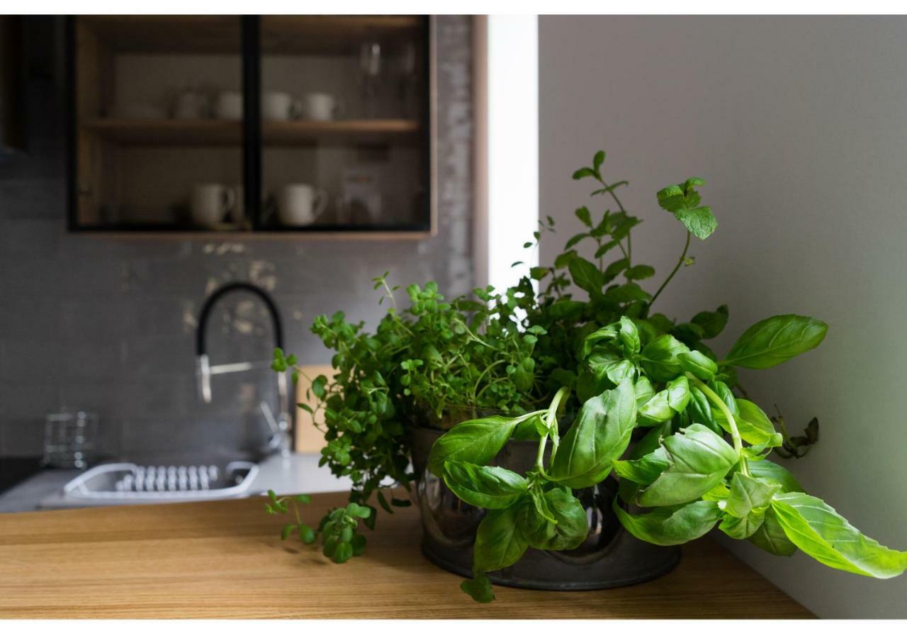 Gostynin Garden Apartment Екстериор снимка